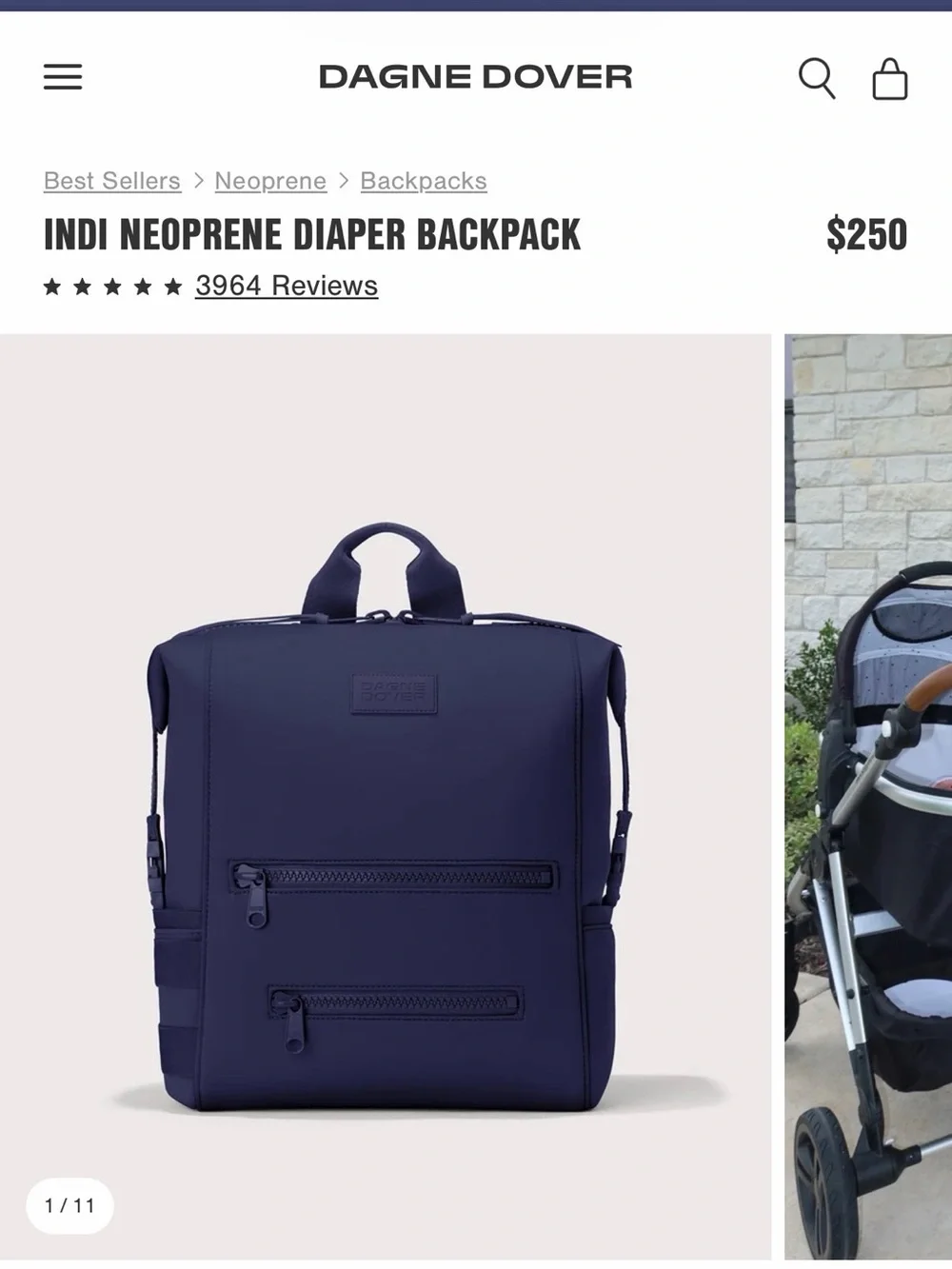 Pagne Dove Men’s Navy Zipper Backpack